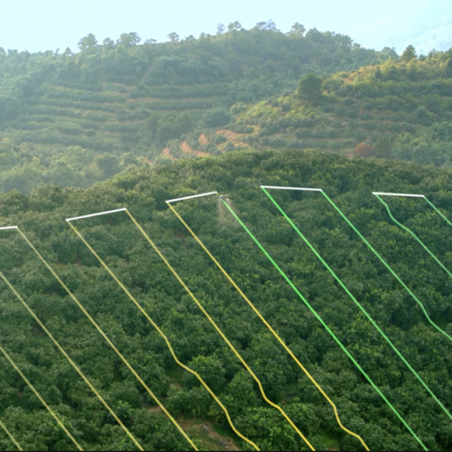 Captura de Pantalla 2024-08-10 a la(s) 22.29.11 (1)