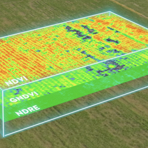Captura de Pantalla 2024-09-13 a la(s) 14.43.37 (1)