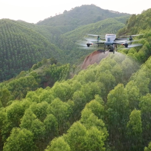 Captura de Pantalla 2024-09-13 a la(s) 14.45.32 (1)